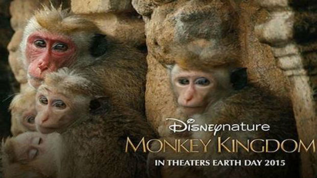 monkeykingdom