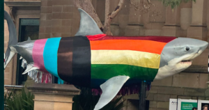 Progress Shark